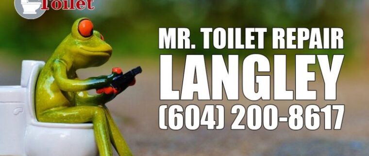 Mr-Toilet-Repair-Langley
